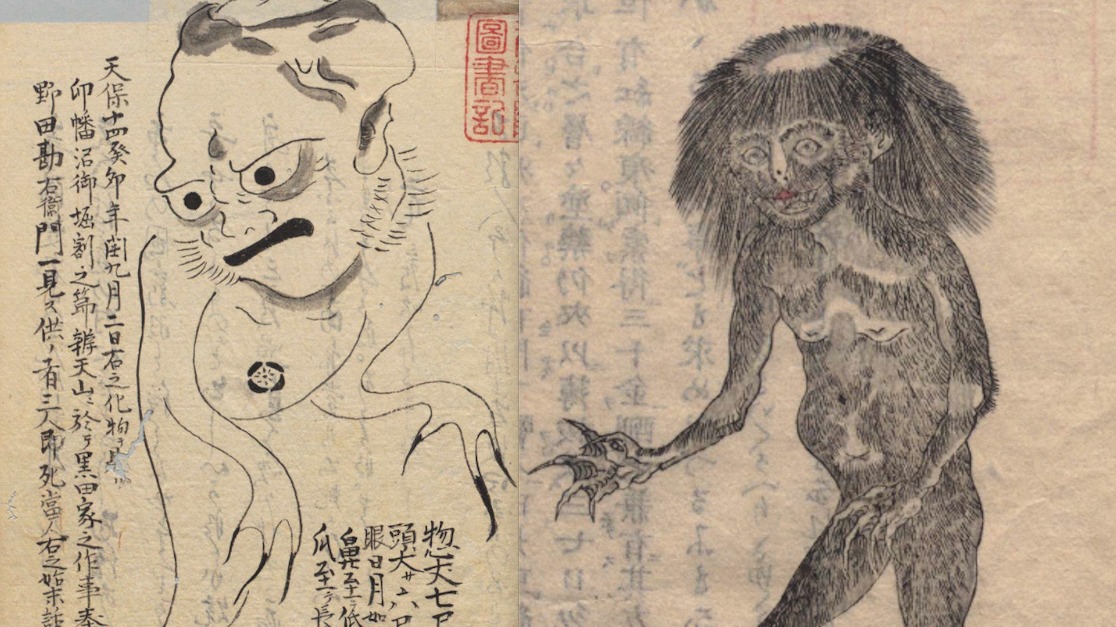 江戸の最恐モンスター 印旛沼の怪獣 は半獣人だった 大江戸怪獣録 Webムー 世界の謎と不思議のニュース 考察コラム 江戸の最恐モンスター 印旛沼の怪獣 は半獣人だった 大江戸怪獣録 Webムー 世界の謎と不思議のニュース 考察コラム