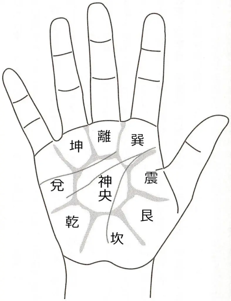 手のひらを8区分して適性を深掘り！／秋山眞人の｢サイキック開運手相
