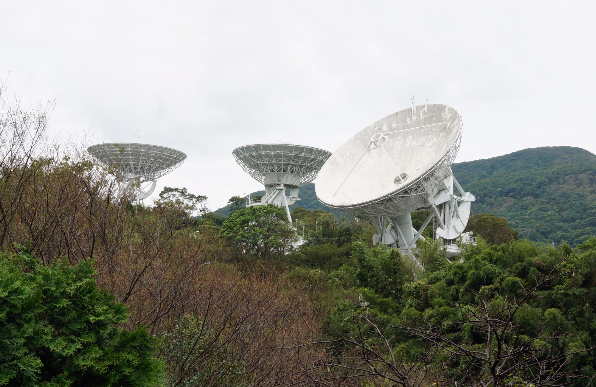 河童か宇宙人か? 台湾妖怪「魔神仔」の正体を民俗学の視点で探る!|webムー 世界の謎と不思議のニュース&考察コラム