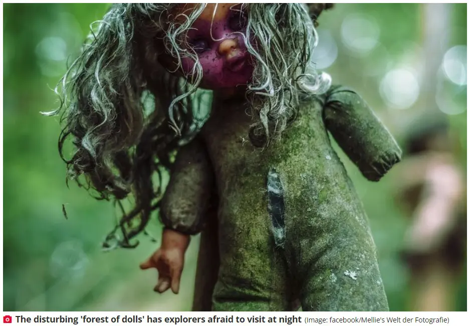 呪いの名所!? ドイツで発見された「人形の森」の謎／遠野そら｜webムー 世界の謎と不思議のニュース＆考察コラム