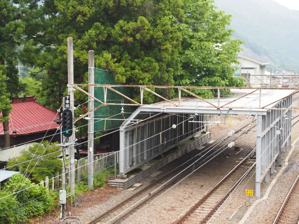 枝にも触れるな！ 最強祟り初鹿野諏訪神社の「ホウの木」怪奇譚／吉田