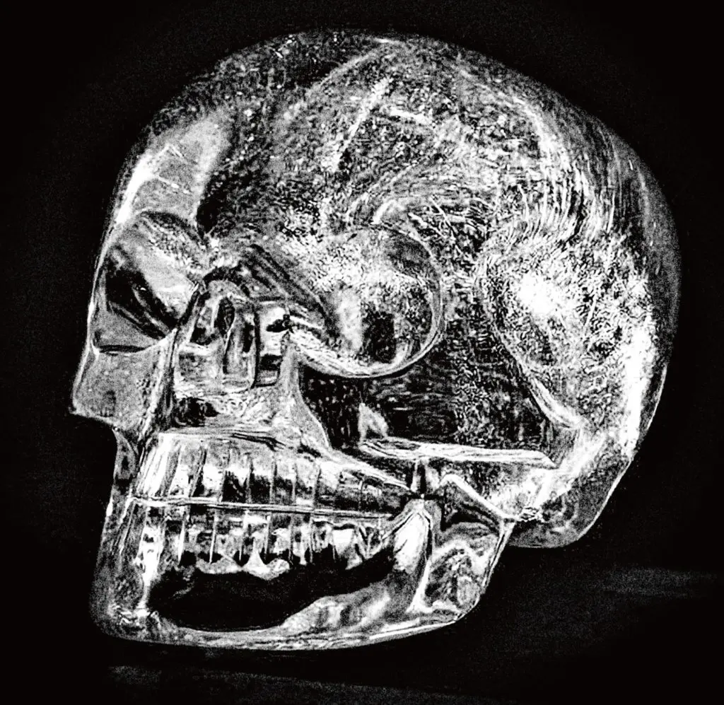 公式 頭蓋骨 ドクロ スカル 透明のみ インテリア リアル ガイコツ 