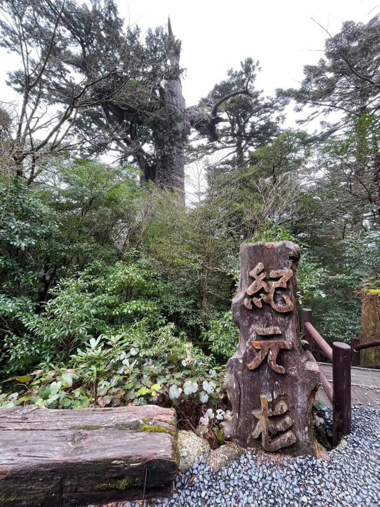 松原タニシVS樹齢3000年の屋久杉！ 謎の石像との遭遇に超人の気配を
