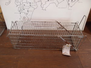 実験企画！ 日本のUMAの素晴らしさを再発見「ツチノコ」クイズ