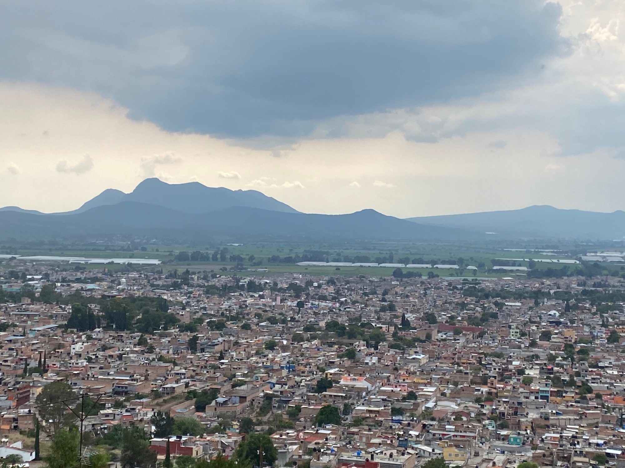「アカンバロの恐竜土偶」の実物を取材! その正体は伝説の魔物たちだった!?/ムー旅メキシコ日報|webムー 世界の謎と不思議のニュース&考察コラム