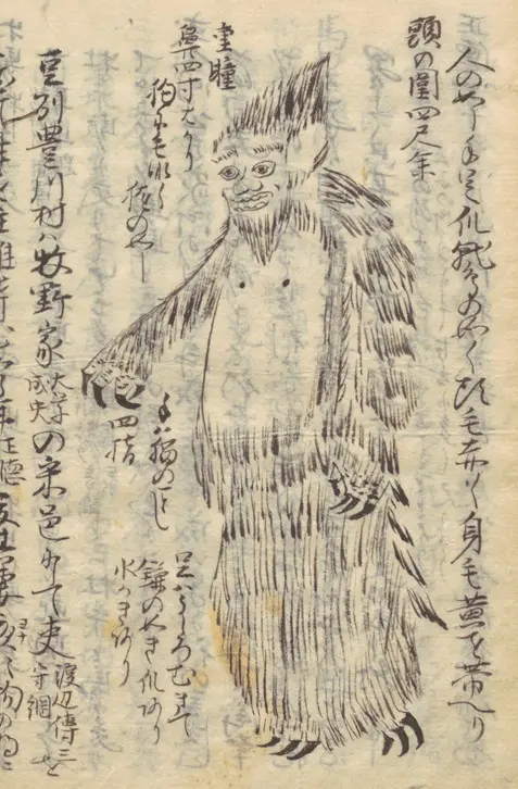 江戸の獣人UMA!?武士60人がかりで仕留めた凶悪怪獣の伝説／大