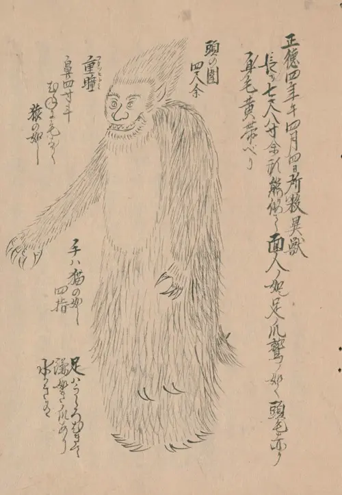 江戸の獣人UMA!?武士60人がかりで仕留めた凶悪怪獣の伝説／大