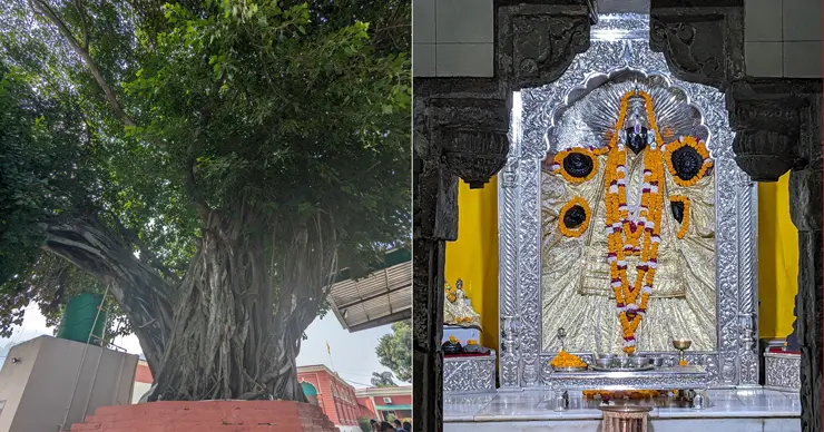 トリムルティの御神木と黒いヴィシュヌ像の神圧におののく！ リシケシ