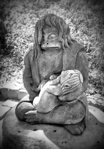 実験企画！ もうすぐシーズン到来「河童」クイズ