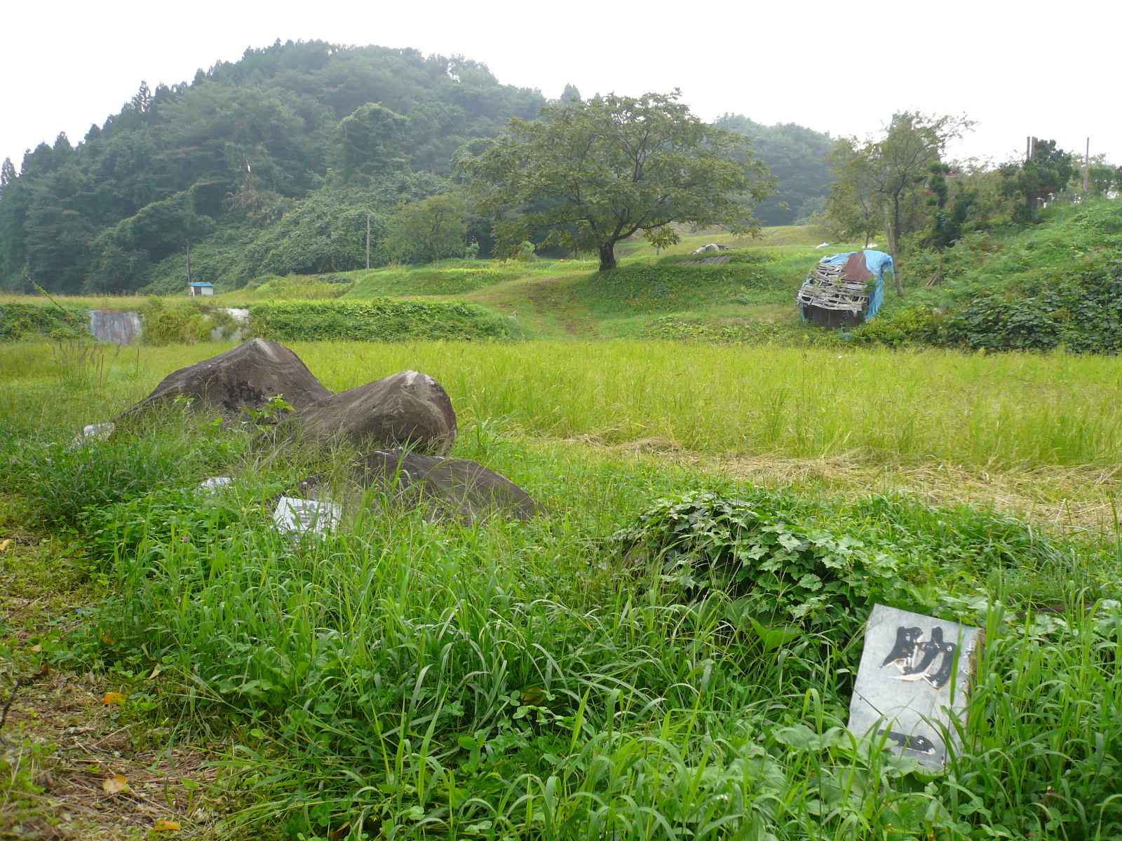 鬼の武威が巨石に残る! 岩手「鬼死骸村」に眠る大武丸の伝説を追う/高橋御山人|webムー 世界の謎と不思議のニュース&考察コラム