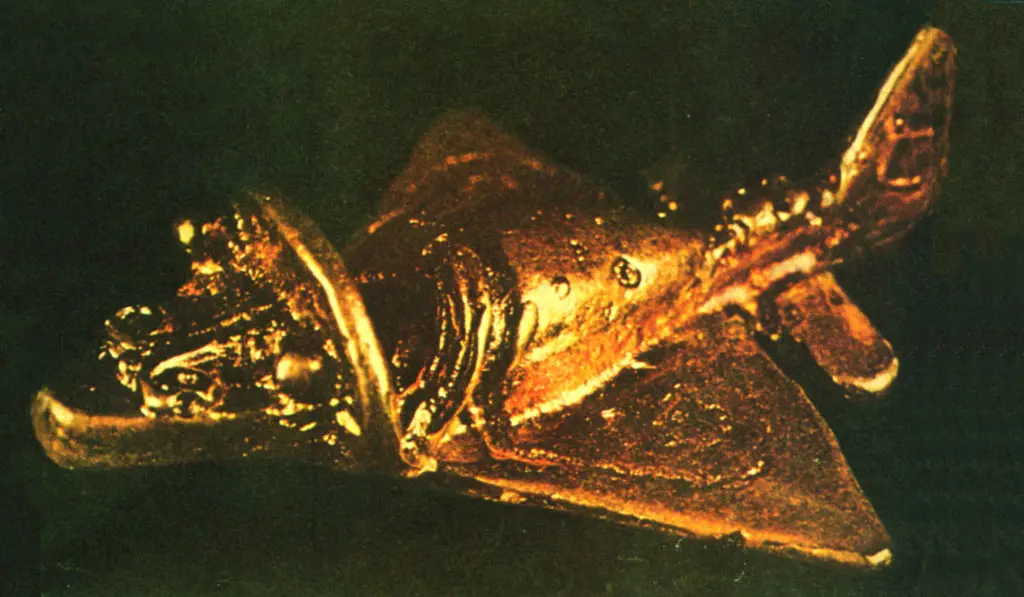 翼をもつ不可思議な遺物は古代の航空機か？「黄金ジェット」の謎