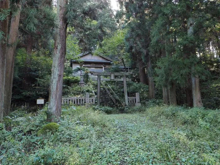 無気味な人面石が大量に並ぶ新潟県・立石山神社をレポート！ 原始的な