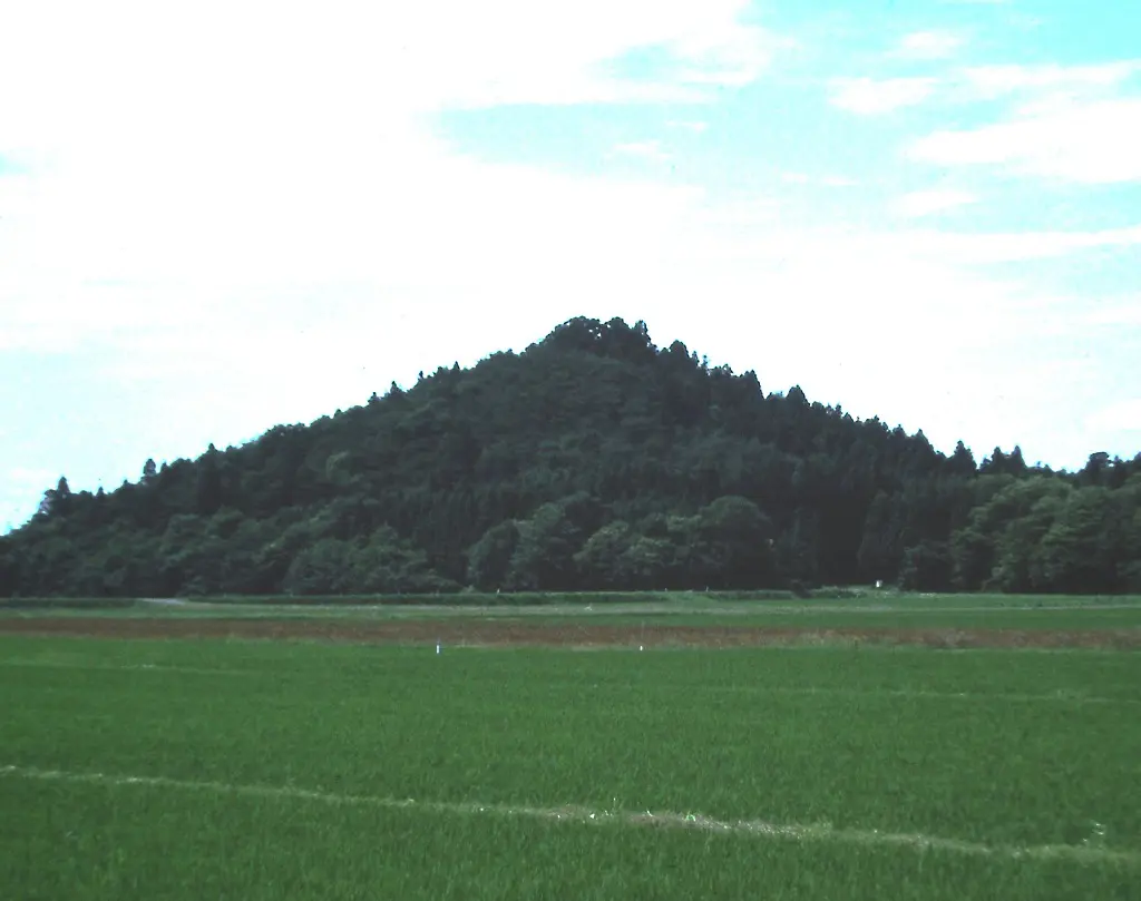 活動歴および当時の関連ビジュアル記録