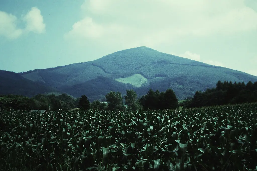 伝説の金属ヒヒイロカネが眠る場所ーー岩手県「五葉山」ピラミッド｜webムー 世界の謎と不思議のニュース＆考察コラム