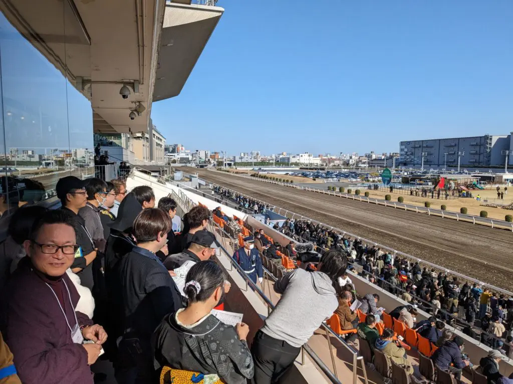 占いで競馬を当てる、楽しむ！ 易で、ダウジングで、タロットで…川崎