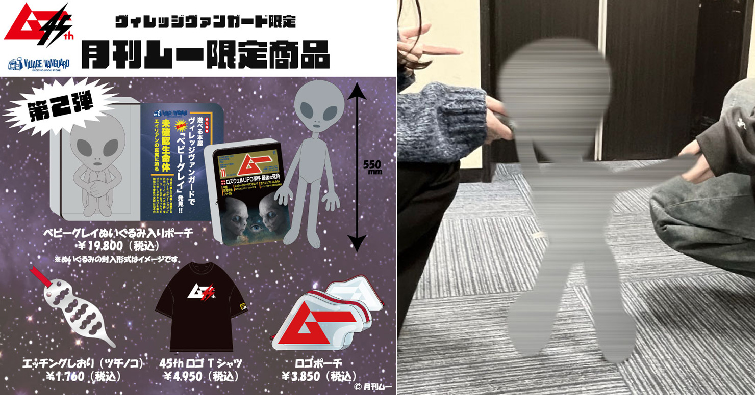 でっかい本型ポーチからグレイが登場！ ヴィレッジヴァンガード限定