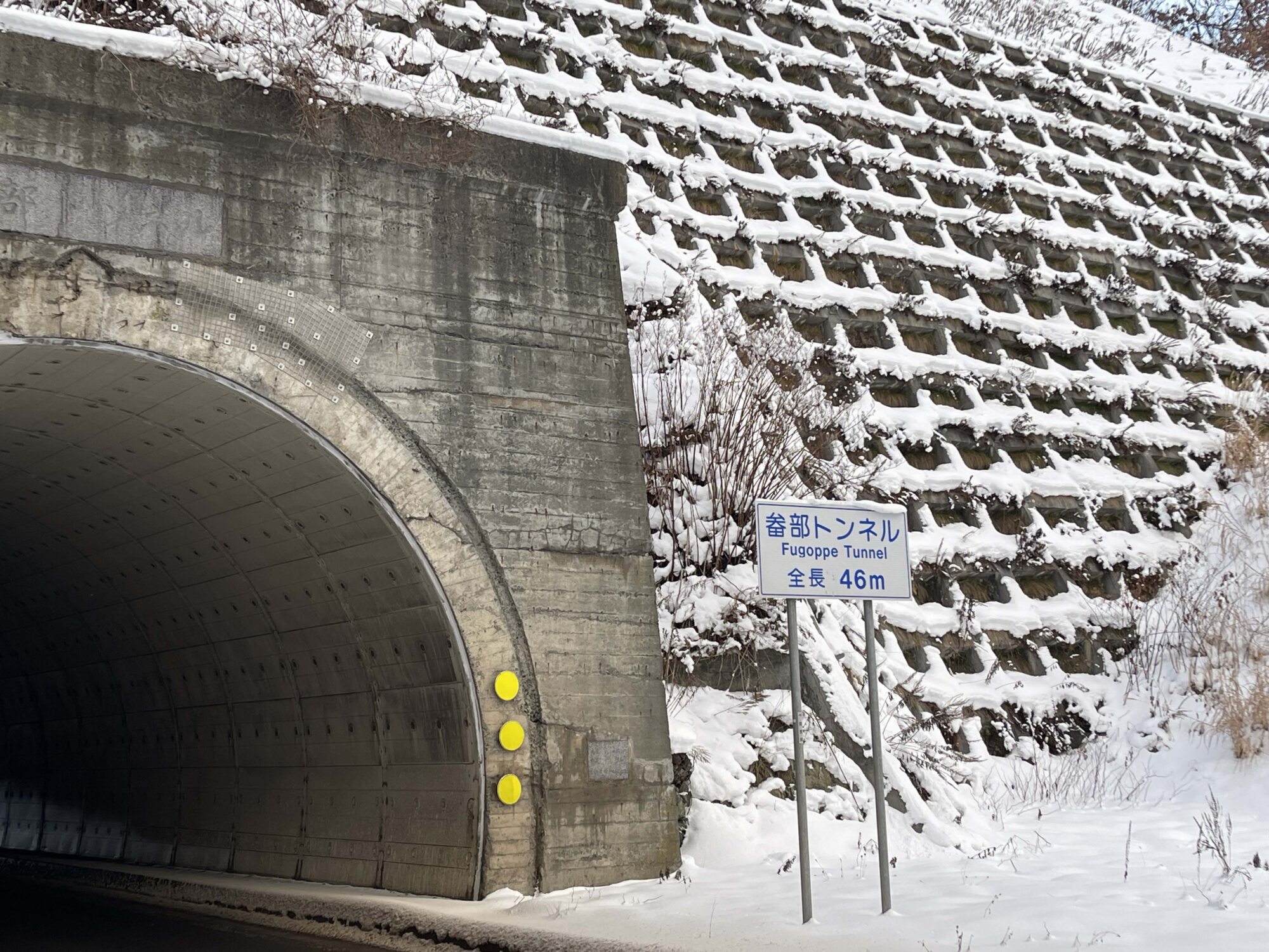 北海道の霊道トンネルは古代の聖地だった! フゴッペを巡る龍神・蛇神スポットを現地取材|webムー 世界の謎と不思議のニュース&考察コラム