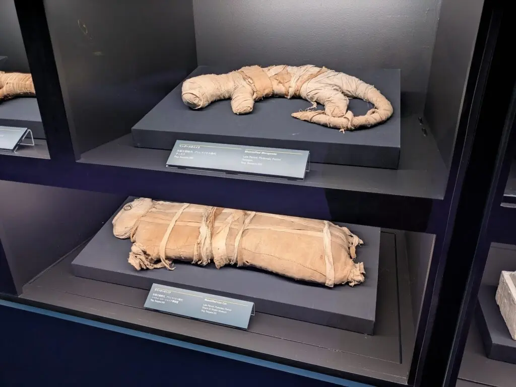ラムセス2世が豊洲に降臨中！ 史上最大級の古代エジプト展「ラムセス