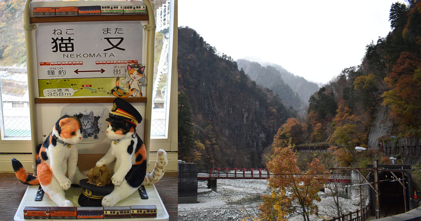 富士から猫又がやってきた! 黒部峡谷鉄道「猫又駅」の妖猫伝説|webムー 世界の謎と不思議のニュース&考察コラム