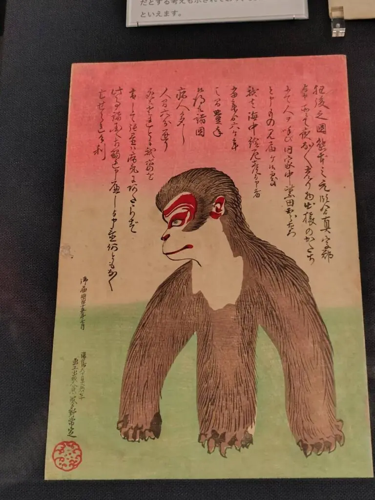 土佐奇獣図」「アマビコ」など新たな妖怪資料が三次もののけ
