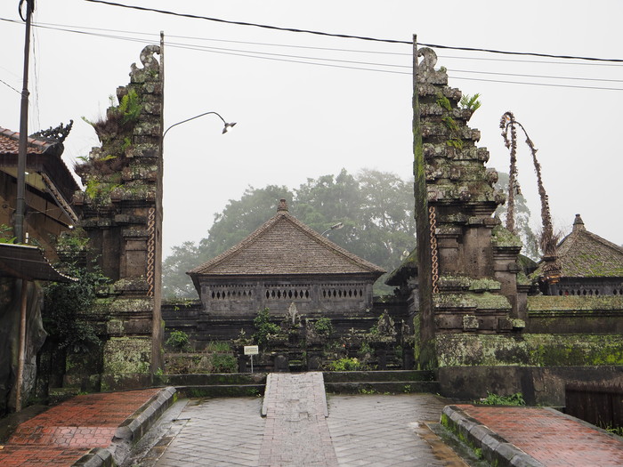無数の“胎盤“が木に実ったバリ島「セトラ・アリアリ」の神秘！ 厳しい掟と伝説に彩られた知られざる風習