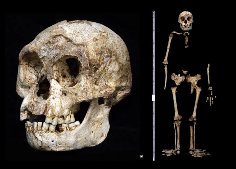 インドネシアには小さな古代人類「ホビット」が今も生きている!? 学者も信じる数々の目撃証言