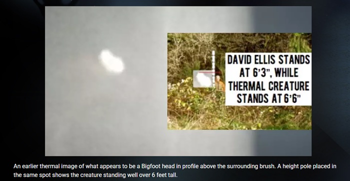 ビッグフットの鮮明な輪郭がサーモカメラに映り込んだ!? ワシントン州の森に潜む異形の怪物