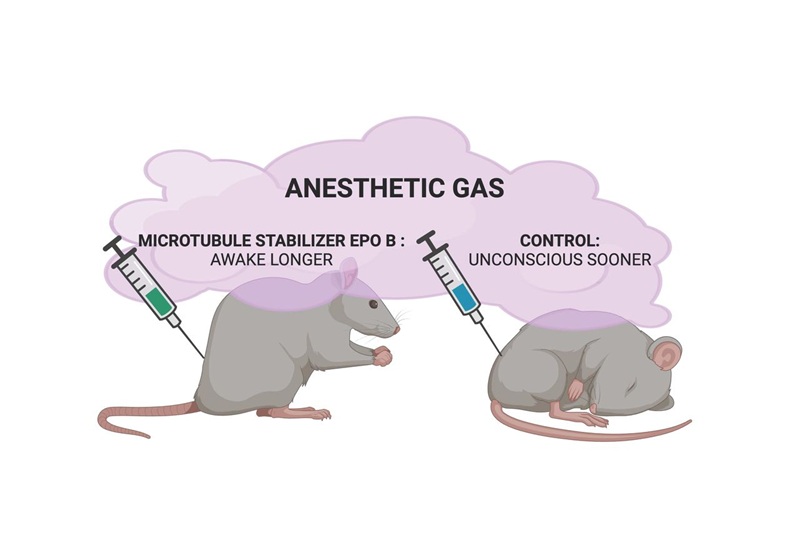 意識はやはり量子現象だった！ われわれの意識は宇宙と繋がっているーー最新研究で確認