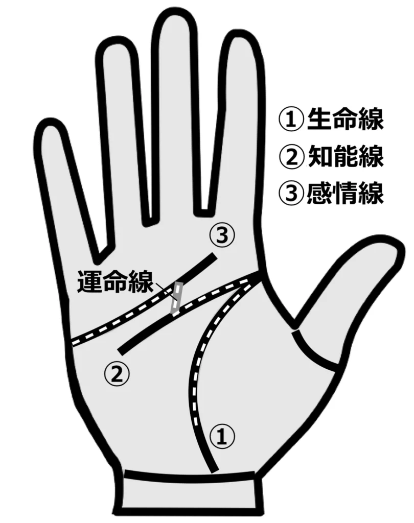 ラッキー m 手相